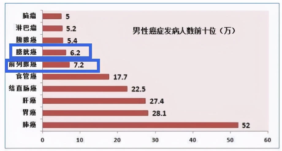 膀胱癌尿血是怎么造成的,膀胱癌尿血是怎样引起的