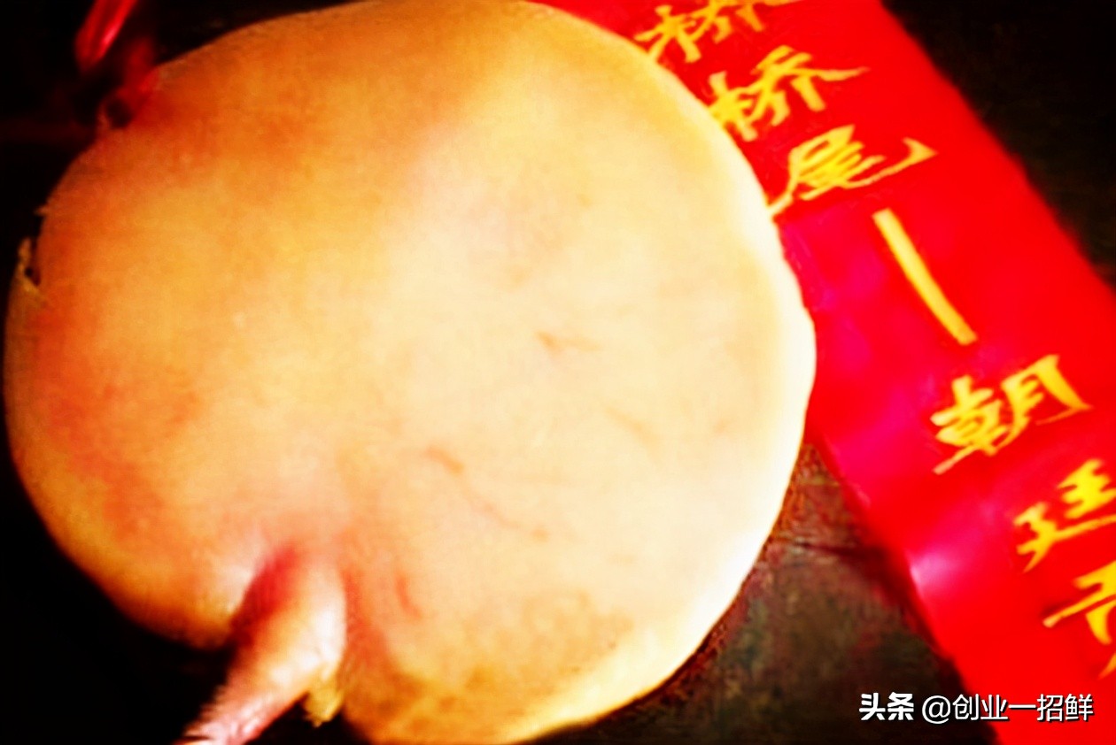 创业奇观：盯着猪屁股，打开致富路