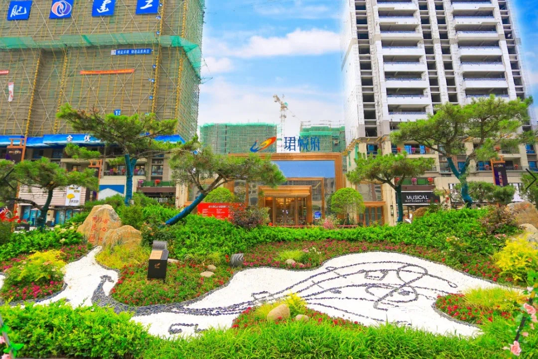 新城热土！为何这里受到多数丰县人热捧？