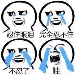 跟舍友关系怎么样,大学宿舍如何跟舍友相处的秘诀