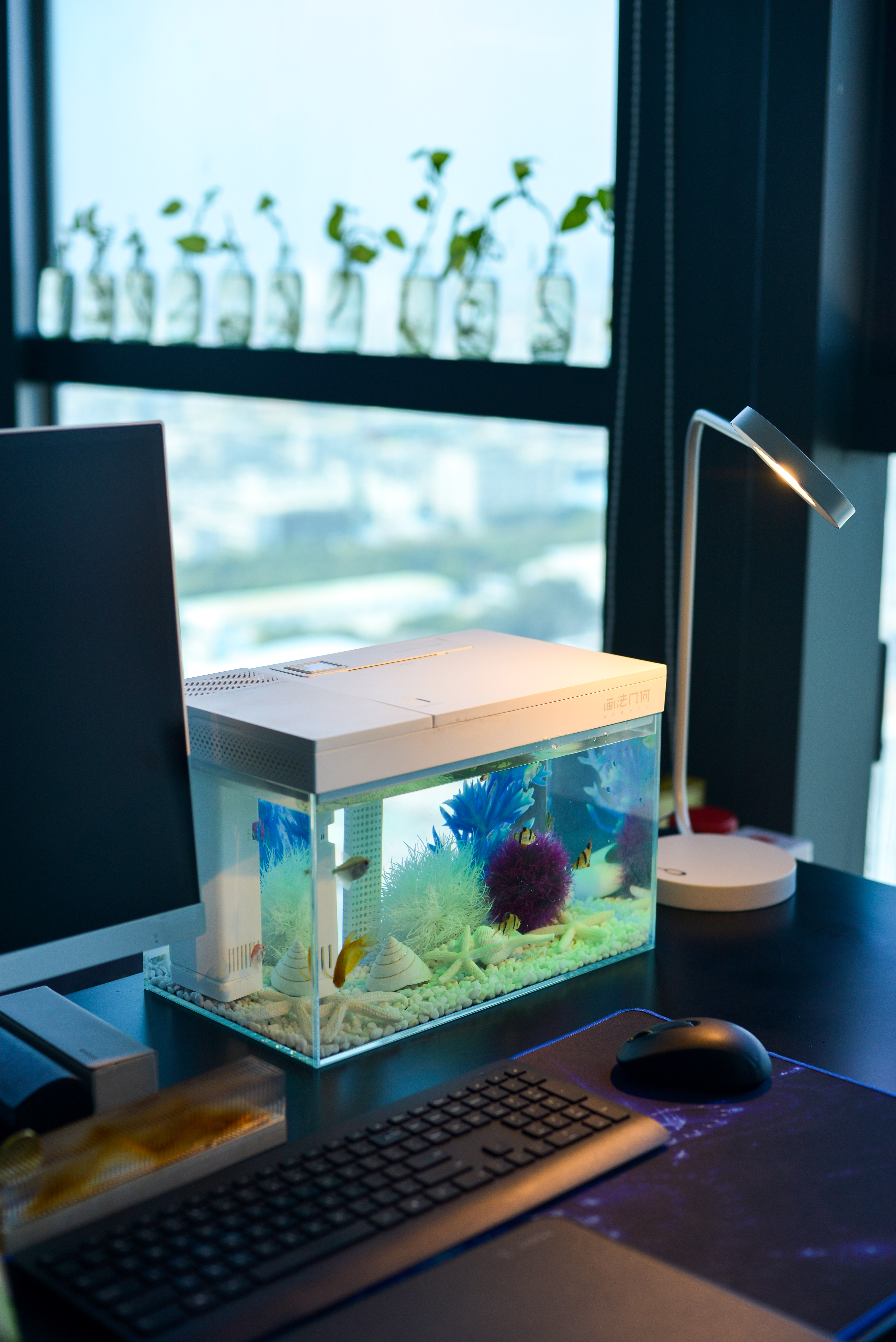 灏忕背鏅鸿兘鎶曞杺楸肩几,灏忕背绫冲鏅鸿兘楸肩几鎬庝箞鎺у埗鐏厜