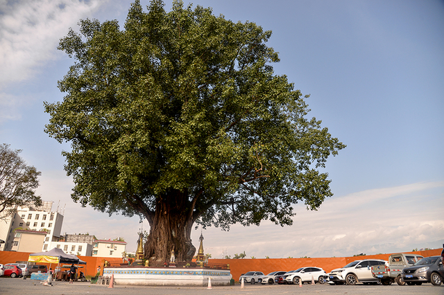 400公里自驾游攻略图,400公里自驾游全过程