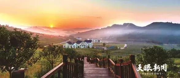 贵州绿色农产品何以风行天下?从毕节一颗萝卜出口迪拜的跨国之旅说起~