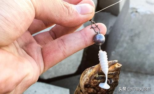 岸边钓鱼爱挂底？试试根钓，路亚中最好玩的钓法