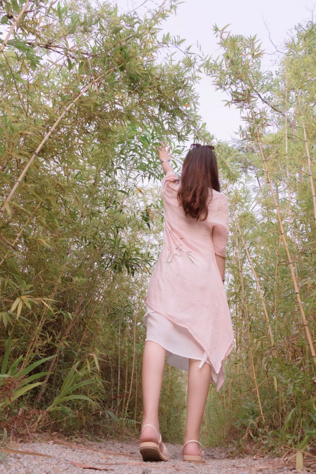 深圳宝安喝茶的世外桃源,宝安西乡世外桃源