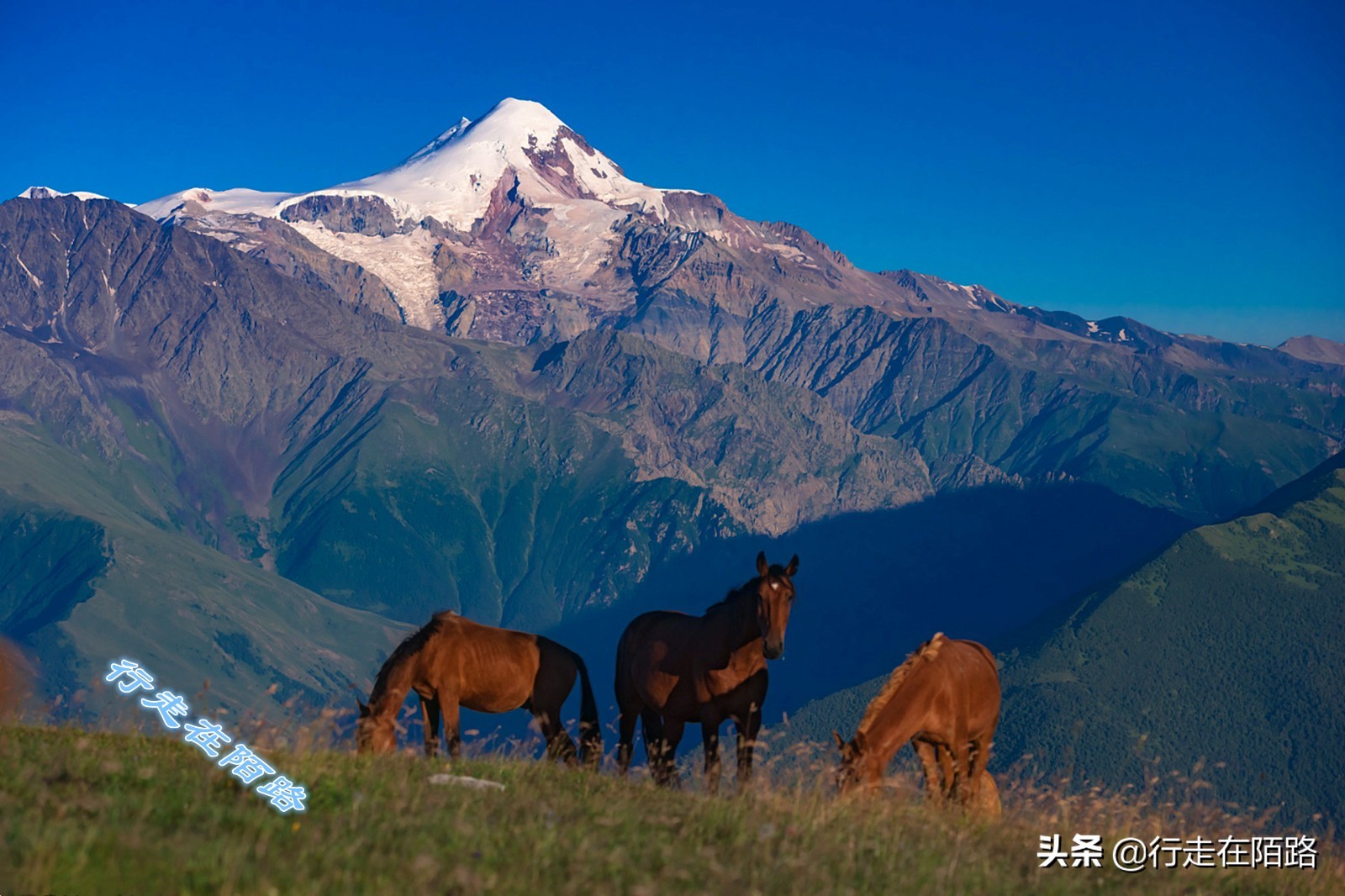 生活成本低的亚洲国家,亚洲生活成本最低国家