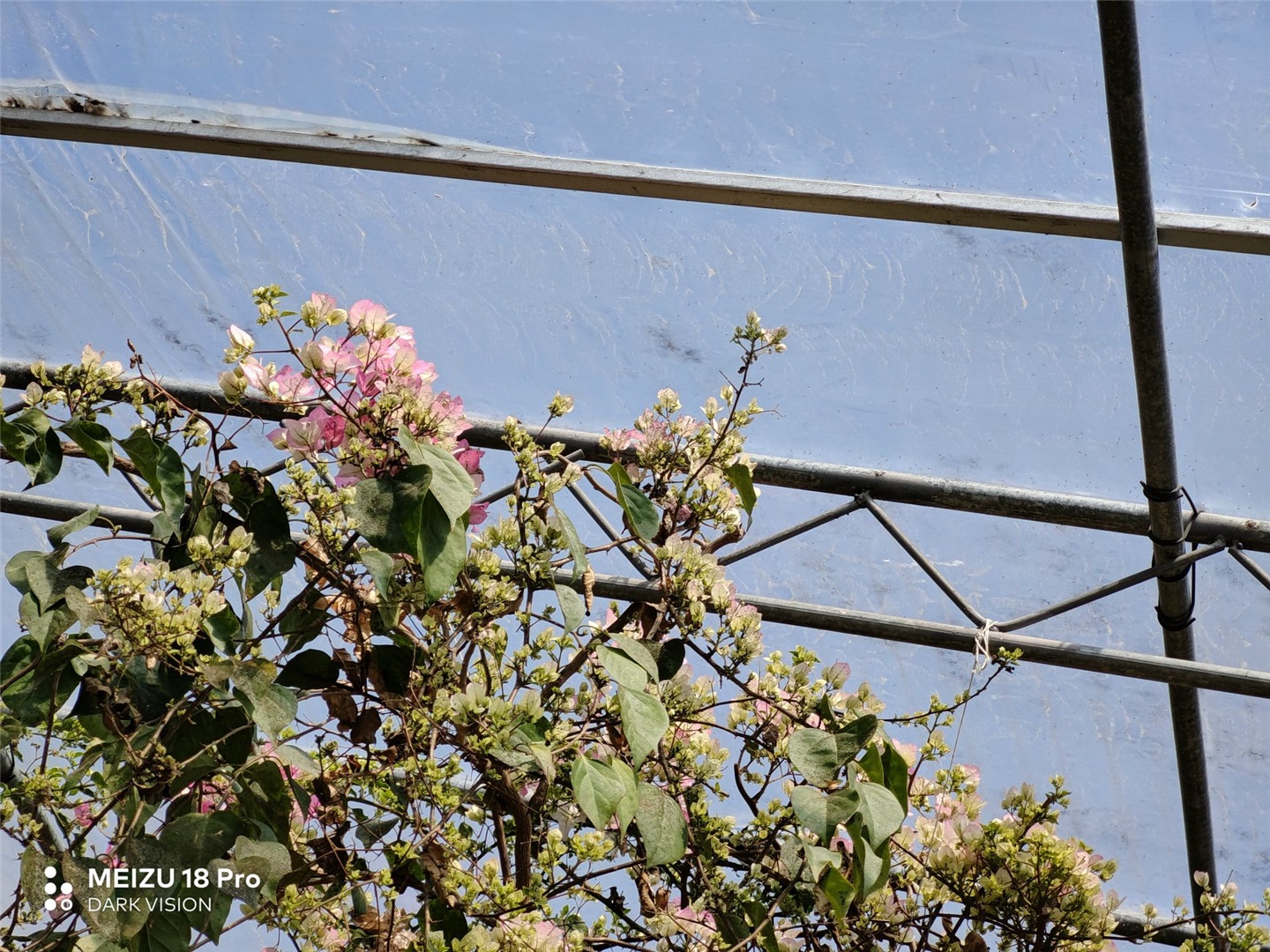 魅族18和魅族18pro买哪个好,魅族18s18pro与18x区别