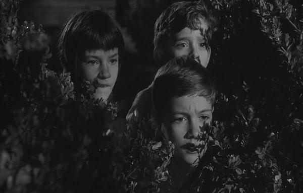 常被（朋友圈里的文青）引用的书名，书中到底讲的是什么？