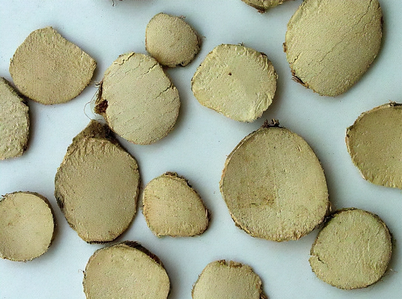 三棱莪术具有的功效是什么,三棱莪术对女性有什么影响