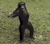 你以为土拨鼠只会尖叫？其实它可能正在骂你