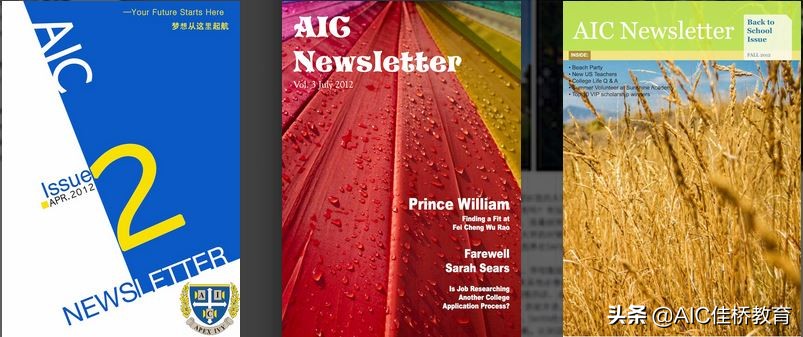 椤跺皷鏂囩悊瀛﹂櫌璁插骇,椤跺皷鏂囩悊瀛﹂櫌