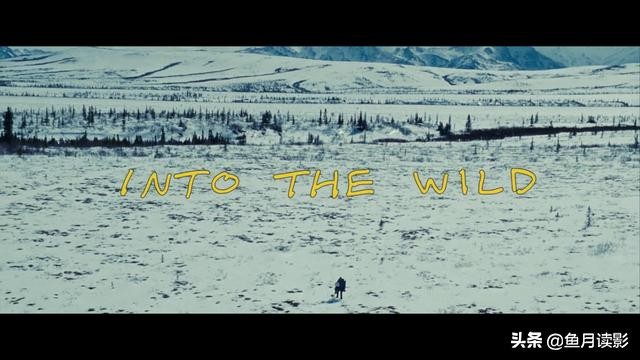 20部必看荒野生存的电影,推荐几部好看的电影荒野生存