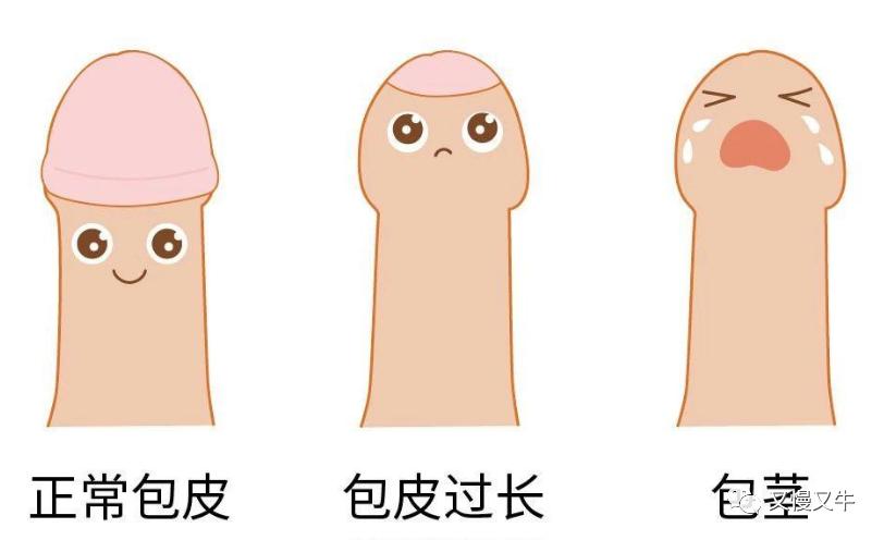 阳光男孩想干的事,阳光男孩求爱