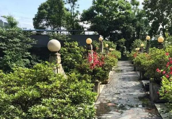 重庆主城好玩的农家乐,这才是重庆最好的农家乐