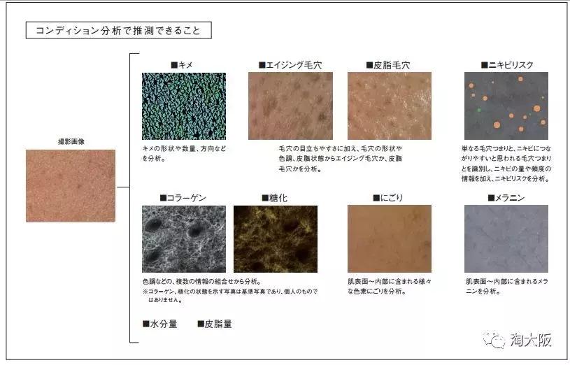 pola所有产品介绍,pola最高端系列