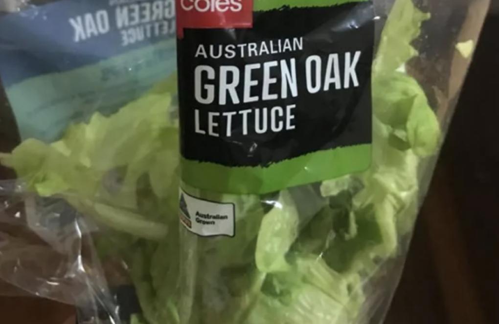 澳女买Coles沙拉吃出青蛙，和菜叶颜色一模一样！发已经吃了半袋