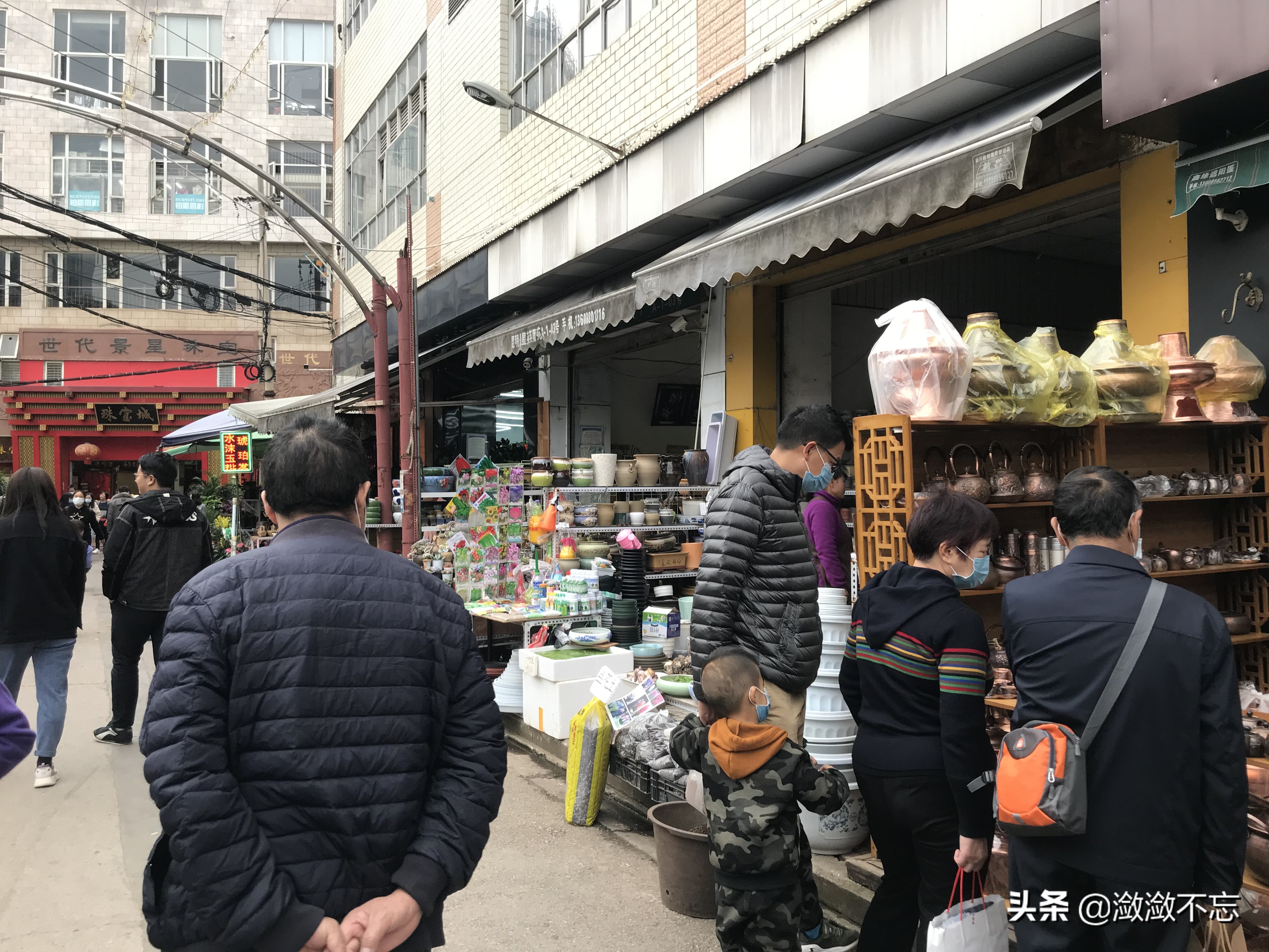 昆明哪里买花便宜又好,昆明斗南花卉市场怎么买花
