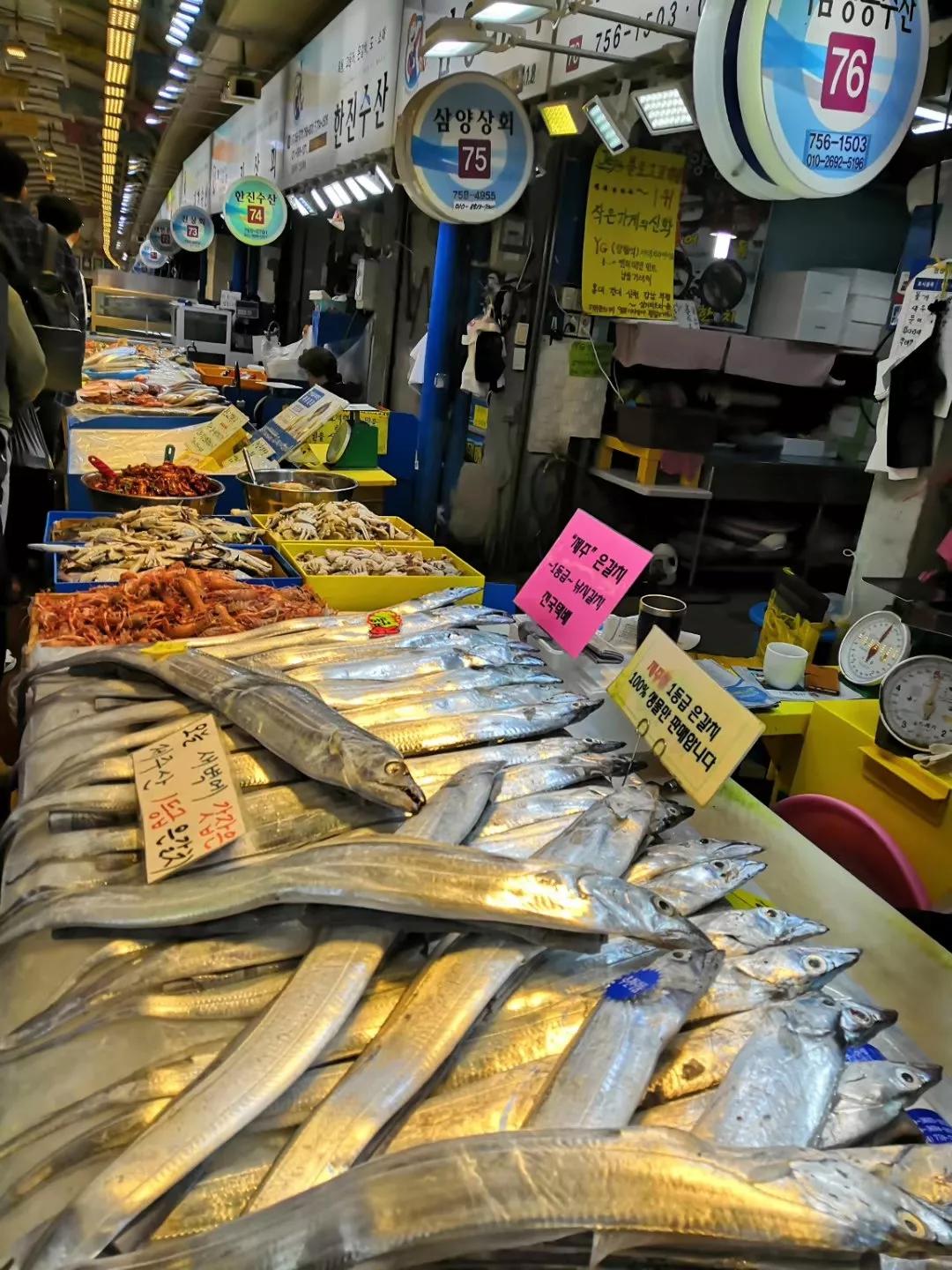 心血来潮去爬山,想去济州岛看海