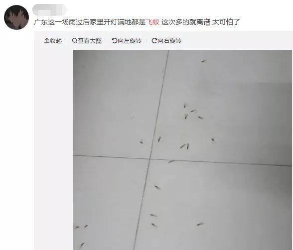 最近很多人吓得不敢开灯的视频,最近很多人被吓得不敢开灯的视频