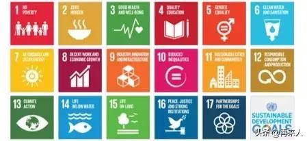 去国外当志愿者的条件,去海外哪里做志愿者