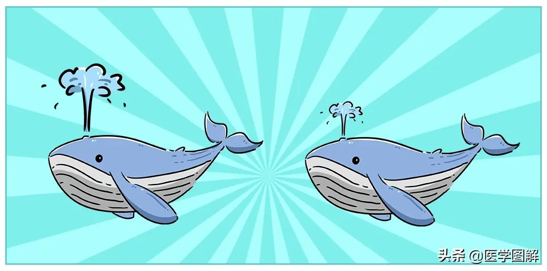 精子检测的结果怎么看懂,精子检测报告如何看懂