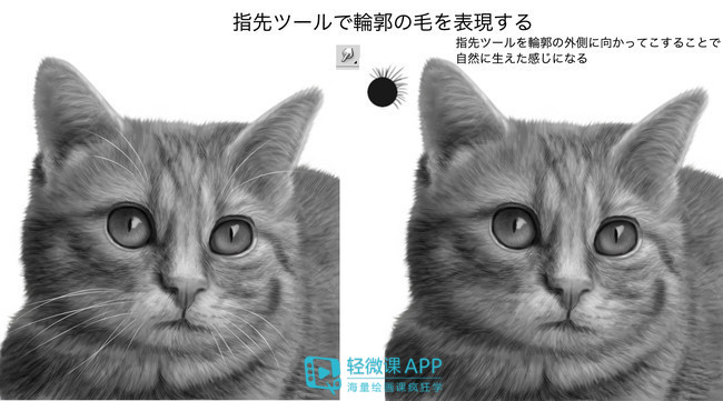 动物的脚印可以怎么画成小动物,小动物和动物妈妈温暖的简笔画