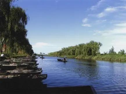 淄博文旅logo设计思路,淄博文旅征集淄博烧烤标志