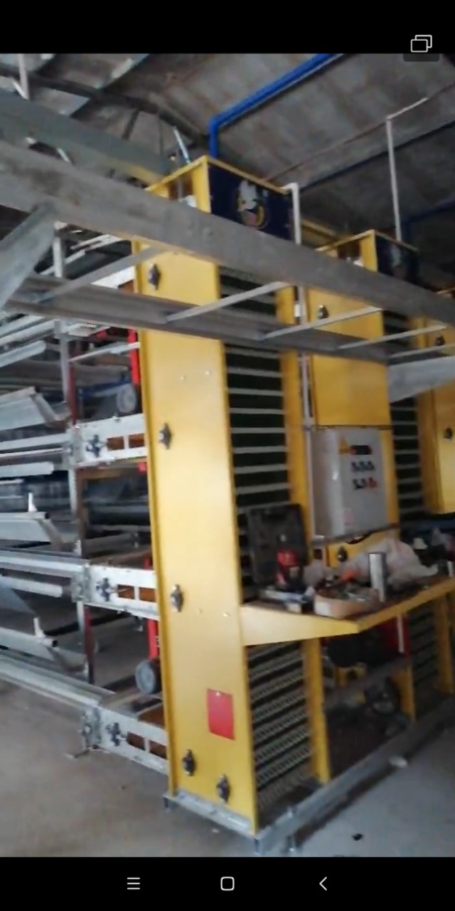 养鸡系统鸡舍,养鸡如何降低成本做好保温