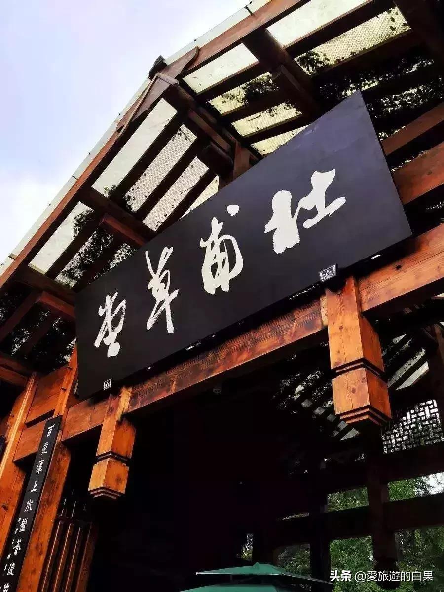 腊梅花开放视频,成都看腊梅的地方