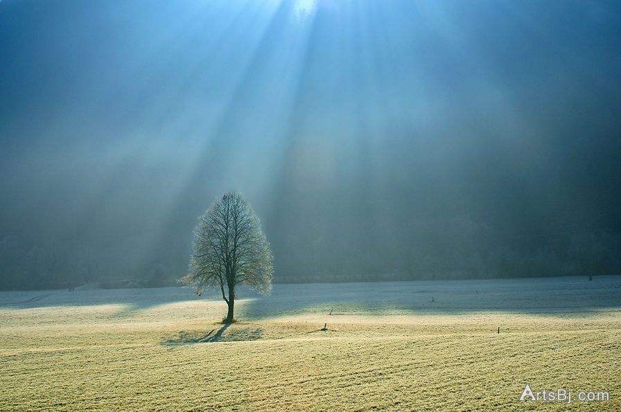 聪明人懂的运用“把柄”，3招教你控制人心