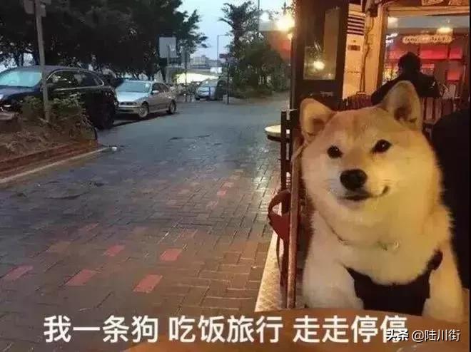 千万别和美女谈恋爱,千万不要和女生闺蜜谈恋爱