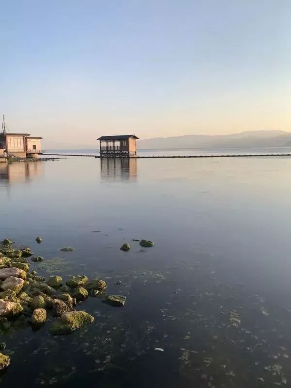 iphone手机拍照操作指南,iphone手机拍照技巧教程