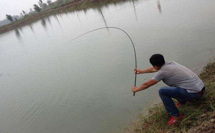 让路亚人崩溃的炸线,钓鱼的鱼线乱七八糟该怎么解开