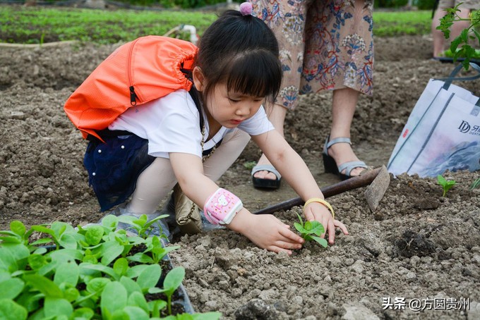 这个夏日，看这个美女如何在浙江乌村的第一百种玩法