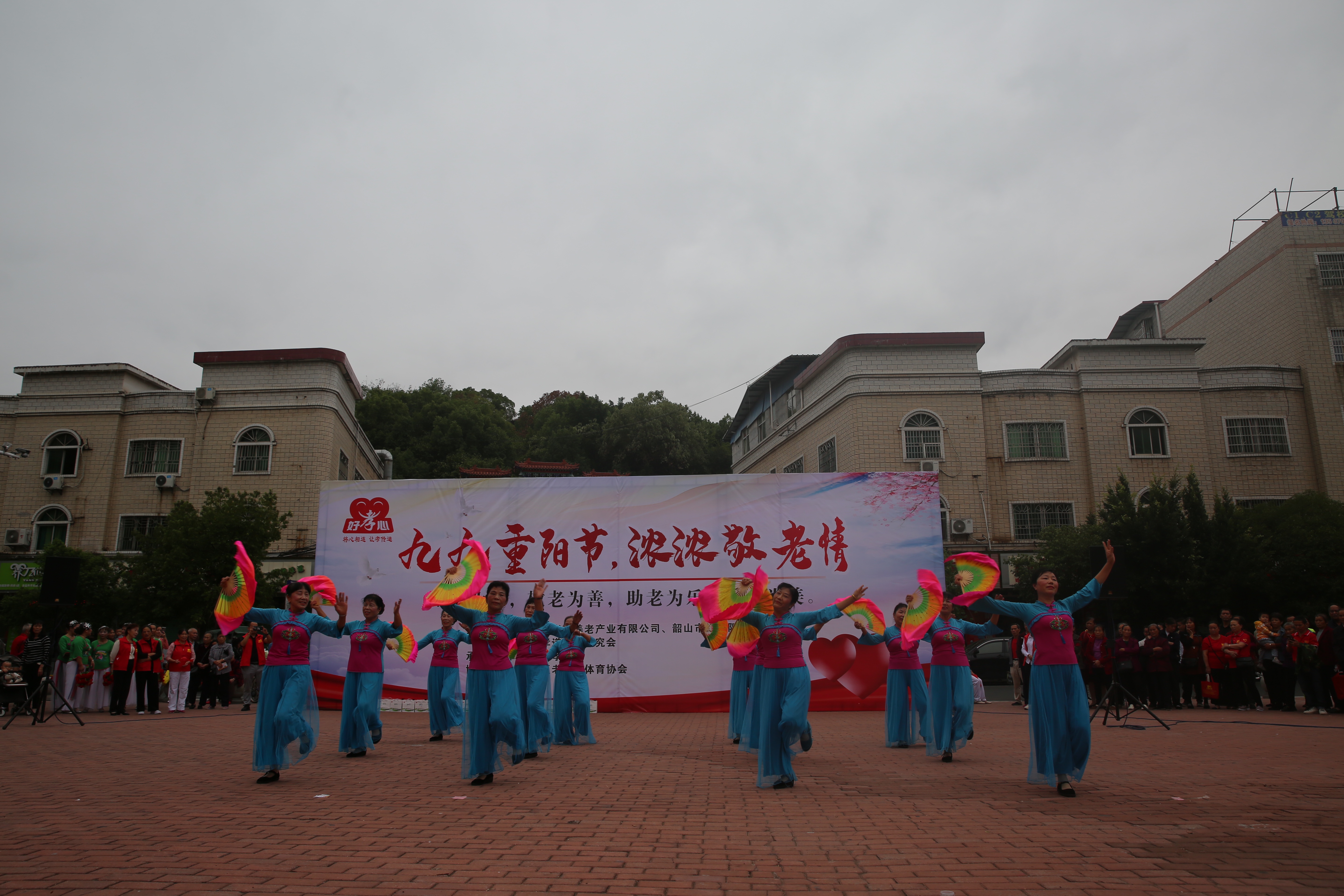 九九重阳节浓浓敬老情朗读,九九重阳节，浓浓敬老情