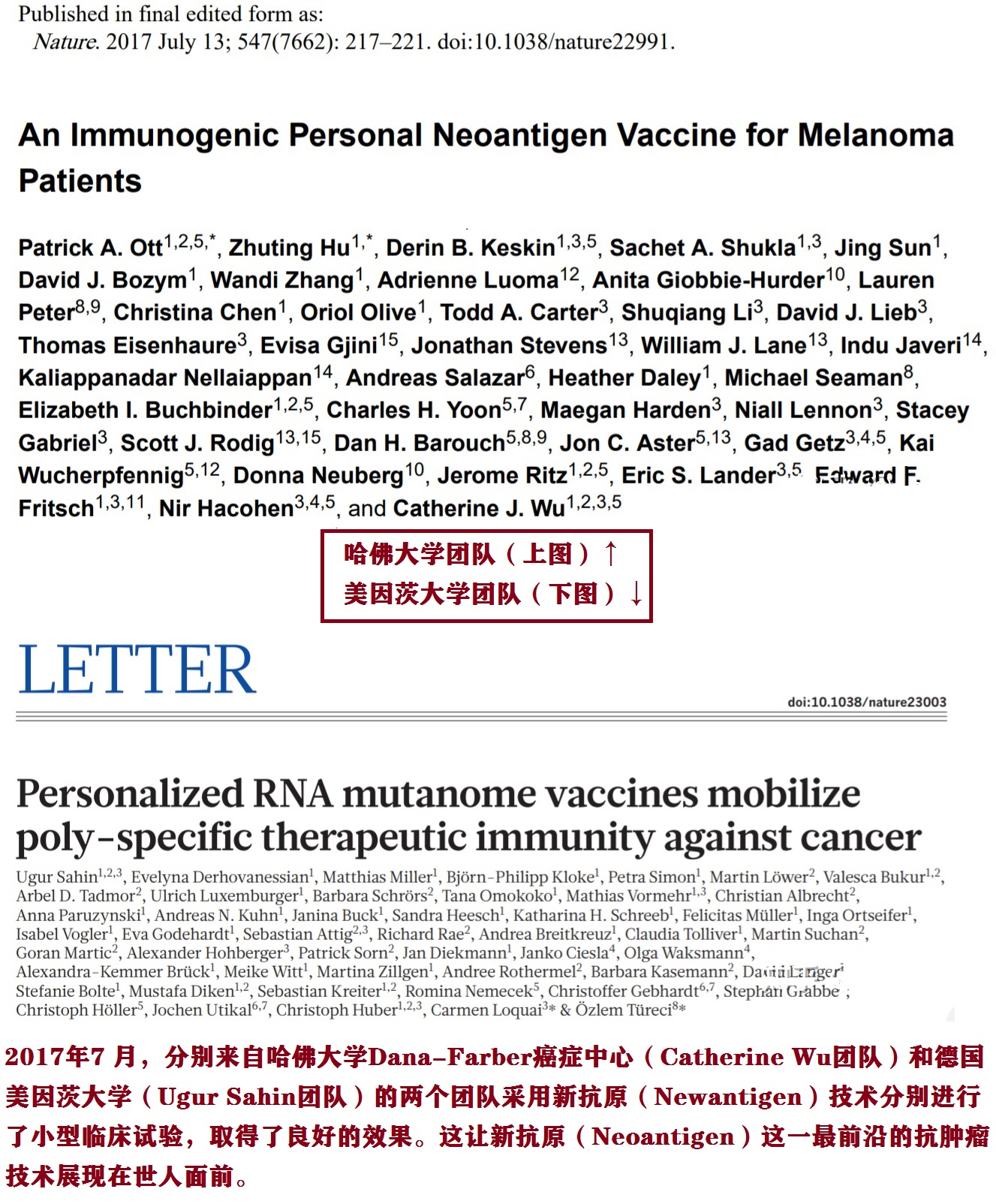 肿瘤免疫治疗的故事连载二十四,肿瘤免疫治疗的故事