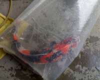 开渔场赚钱吗,开渔场需要多少资金