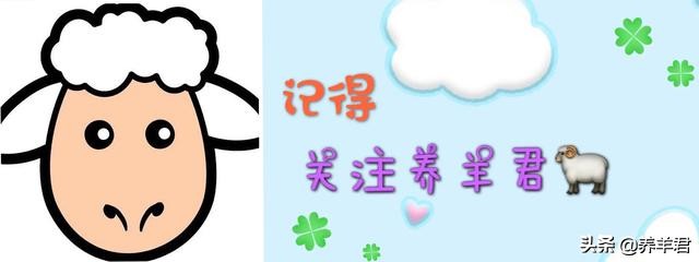 关注山羊养殖技术,今日热点养羊