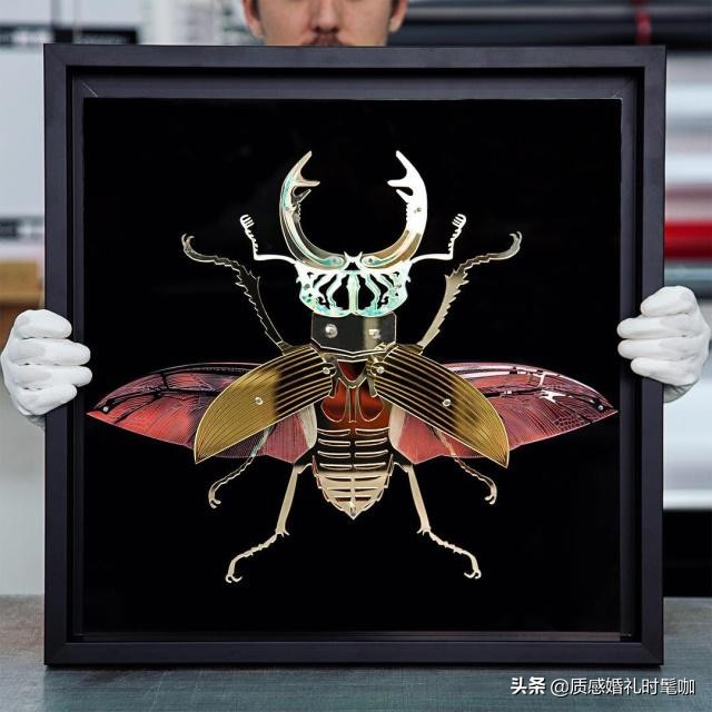 蝗虫算是物种入侵吗,蝗虫是圣甲虫吗