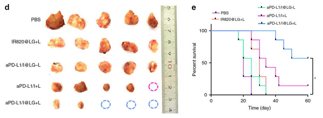 一种基于纳米医学的肿瘤光热治疗,肿瘤热疗新趋势热死肿瘤不伤身