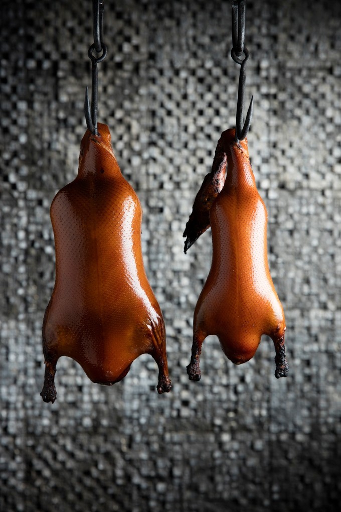 海洋光谱号邮轮旅游攻略,杭州光谱号游轮攻略