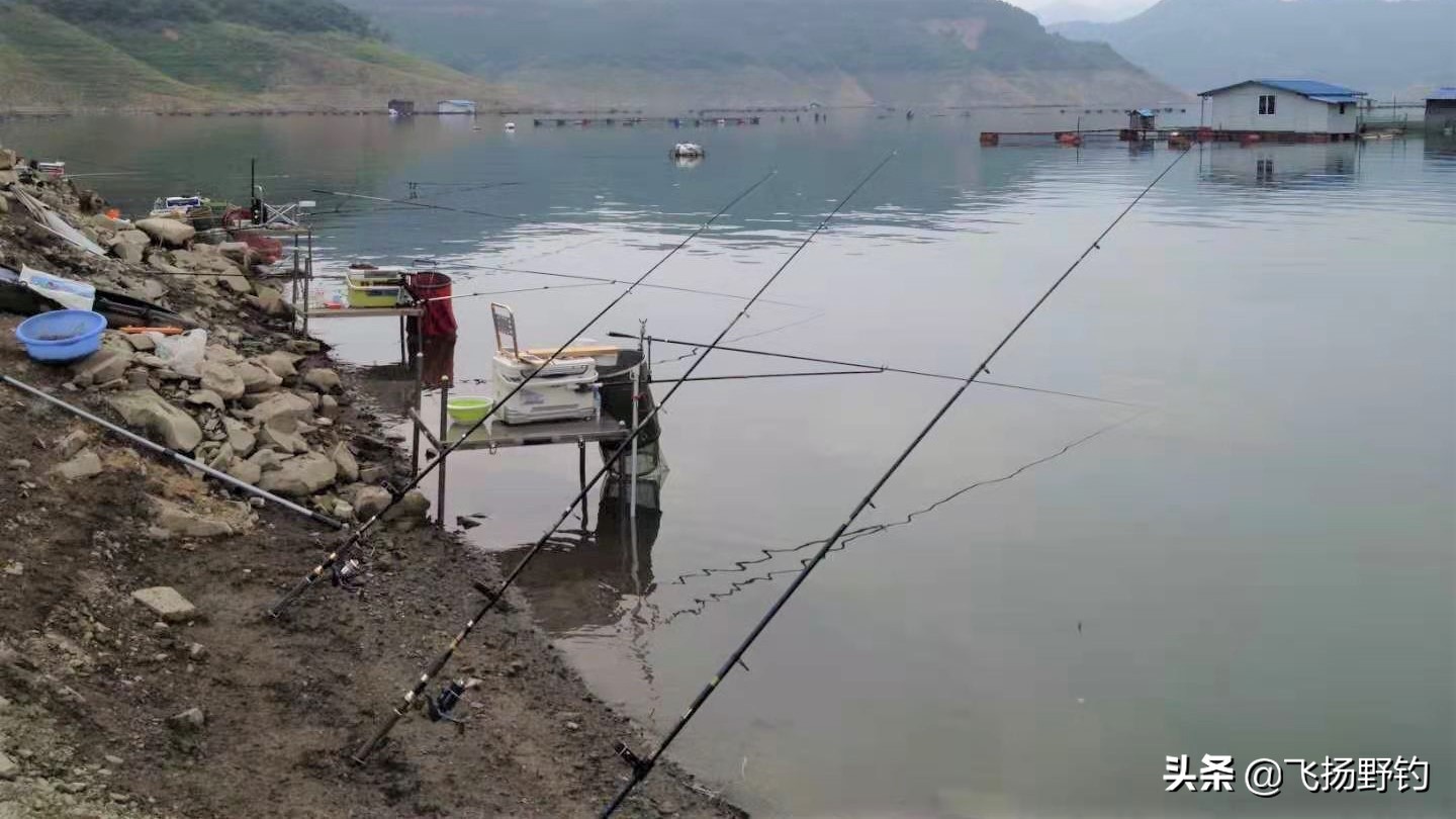 海竿钓鱼效果比台钓好吗,海竿翻板钩冬季钓鲢鳙离底钓法