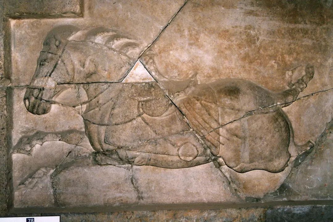 西安文化之旅旅游攻略,去西安玩应该注意什么