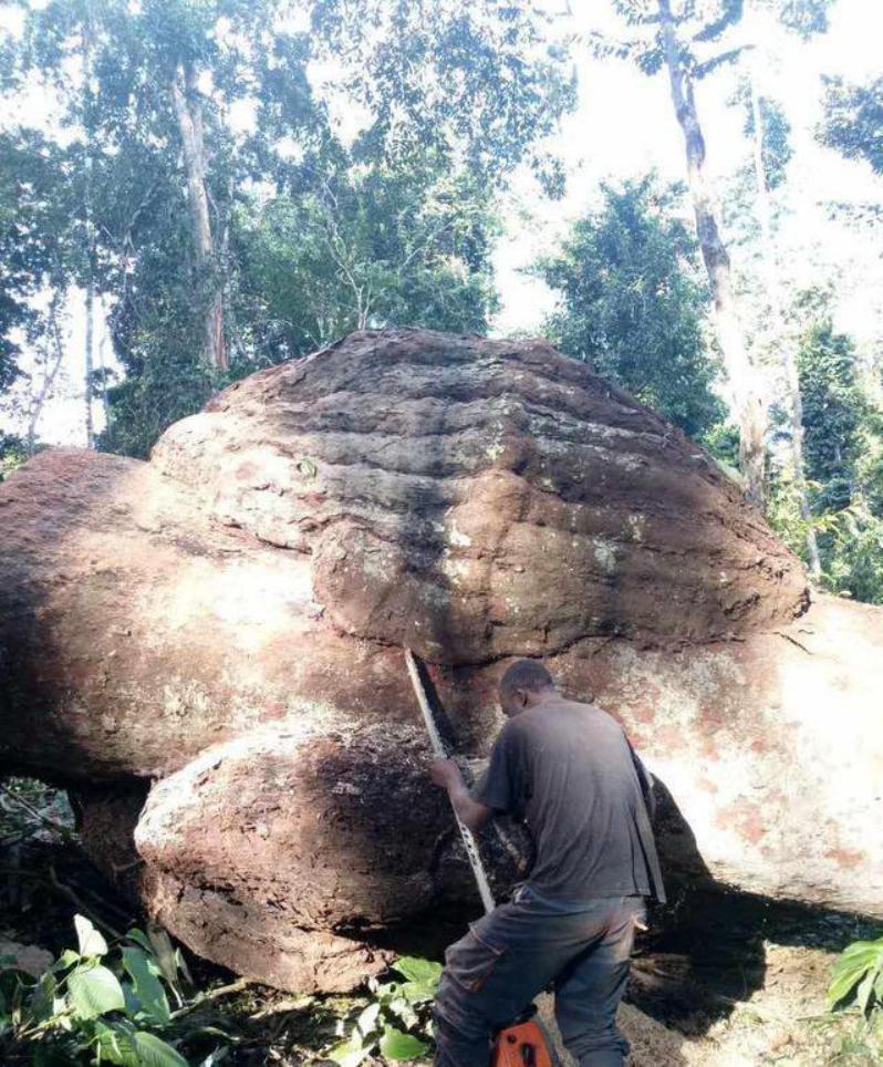 江苏最大家具生产基地,江苏家具制造基地在哪里