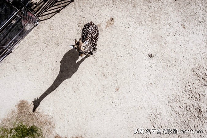 十个无人机拍摄的惊人画面,世界上最好的无人机1500米