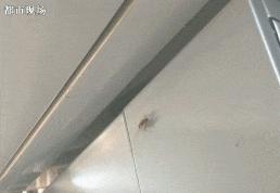 肯德基是中国最干净的快餐,肯德基最黑的店