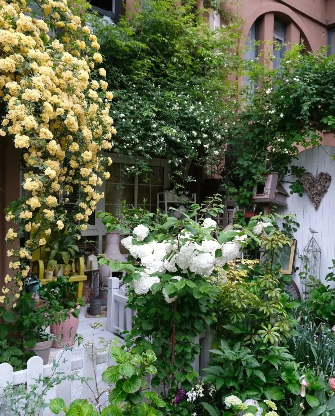 适合懒人家庭种菜100种,家里种菜这3种就够了