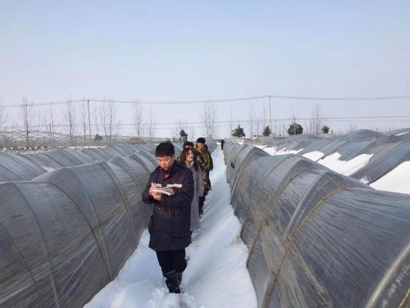 扎扎实实服务乡村振兴战略徐州人保财险创新农险高质量发展纪实