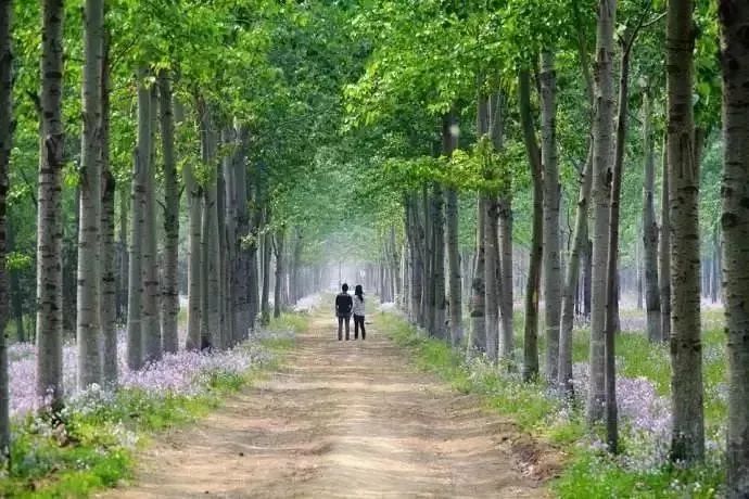 昌平哪个地方的公园最好,昌平区主要公园及景点