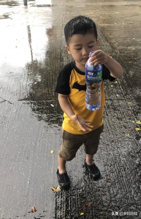 可以带孩子玩的大自然游戏,野外探险游戏项目